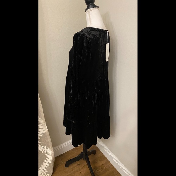 Adyson Parker Velvet Dress - Picture 3 of 6